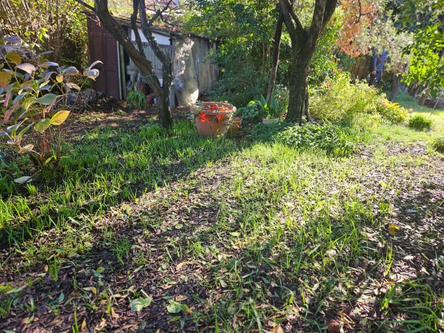 SEMINDIPENDENTE SARZANA